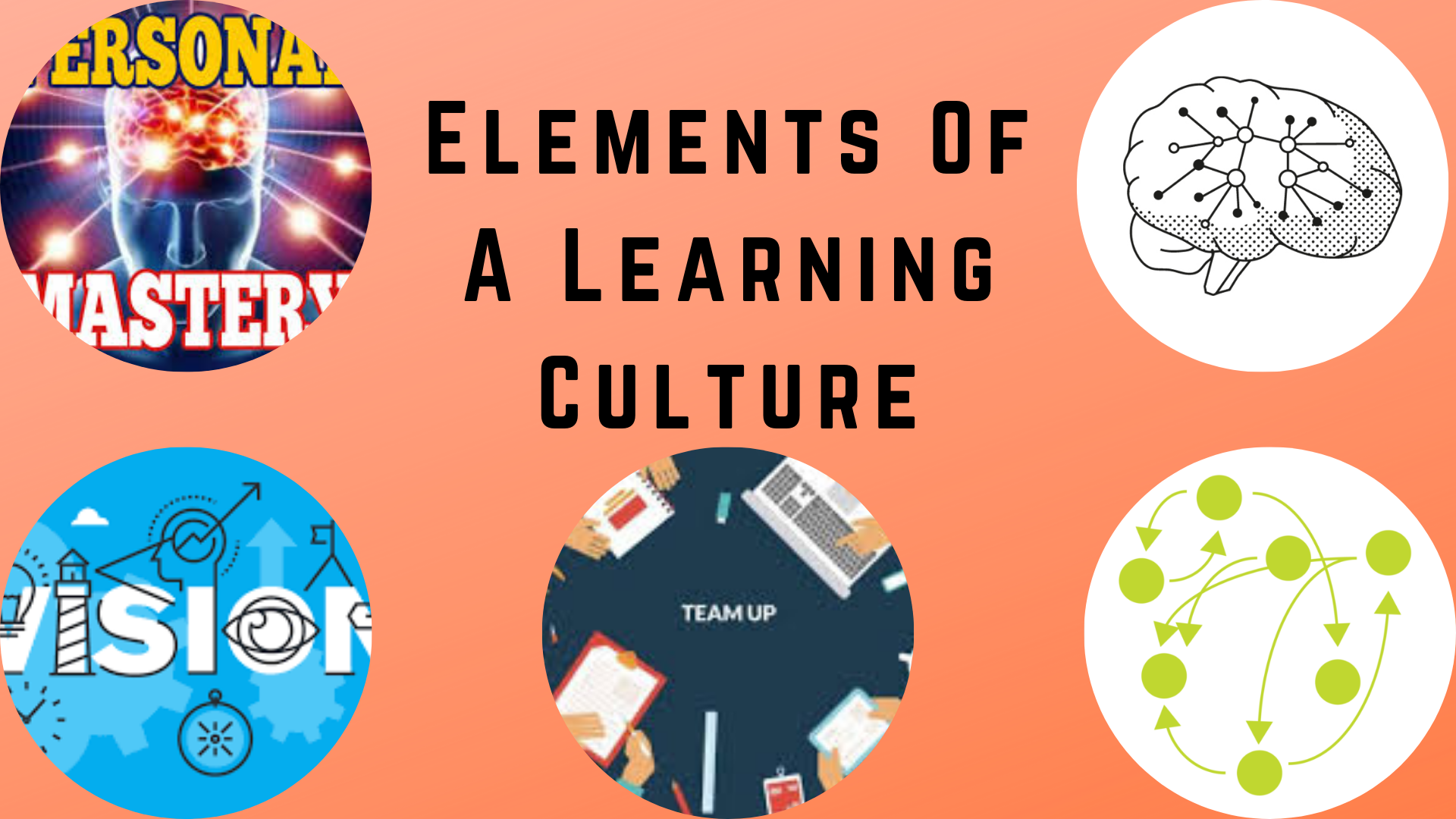 CB11300: The Learning Culture Of The Organisation